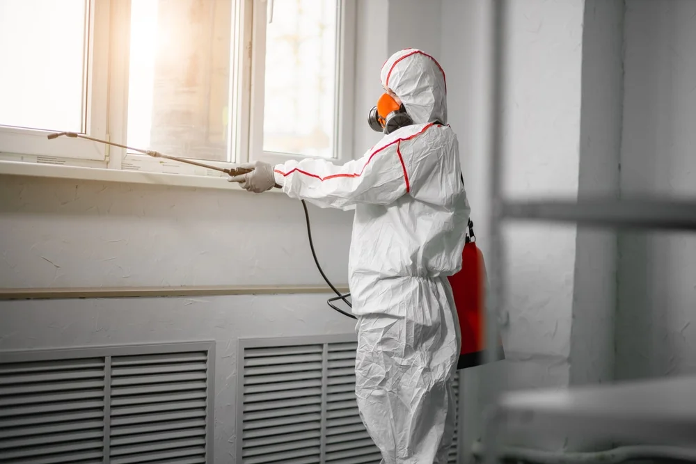 Professional mold remediation services in New Middletown, OH
